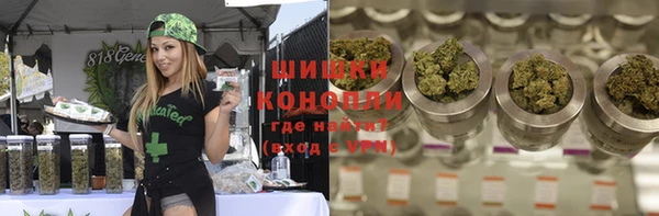 PSILOCYBIN Бугульма