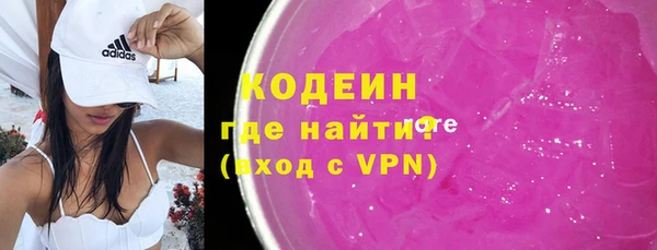 apvp Бородино
