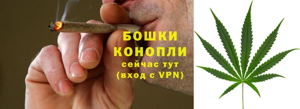 apvp Бородино