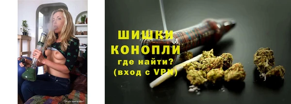 спиды Бронницы