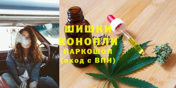 apvp Бородино