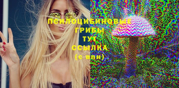 apvp Бородино