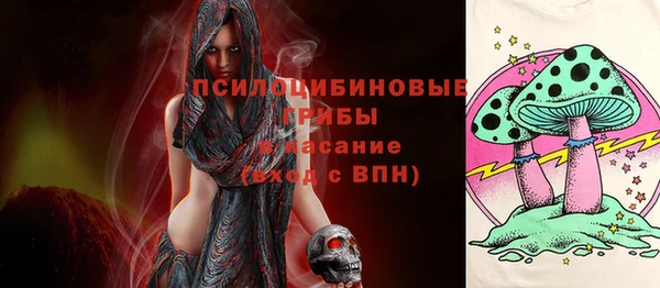 apvp Бородино