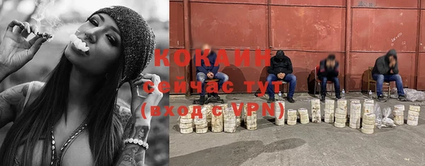 спиды Бронницы