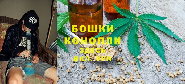 PSILOCYBIN Бугульма
