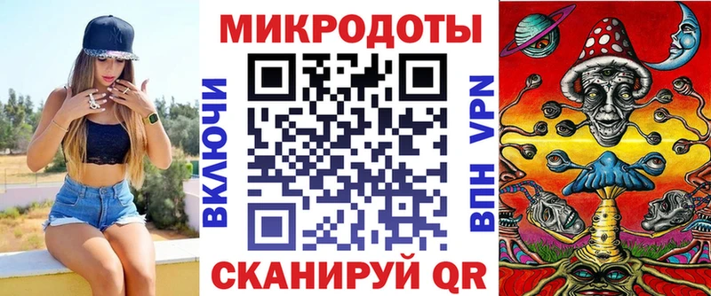 Галлюциногенные грибы Psilocybine cubensis Мончегорск